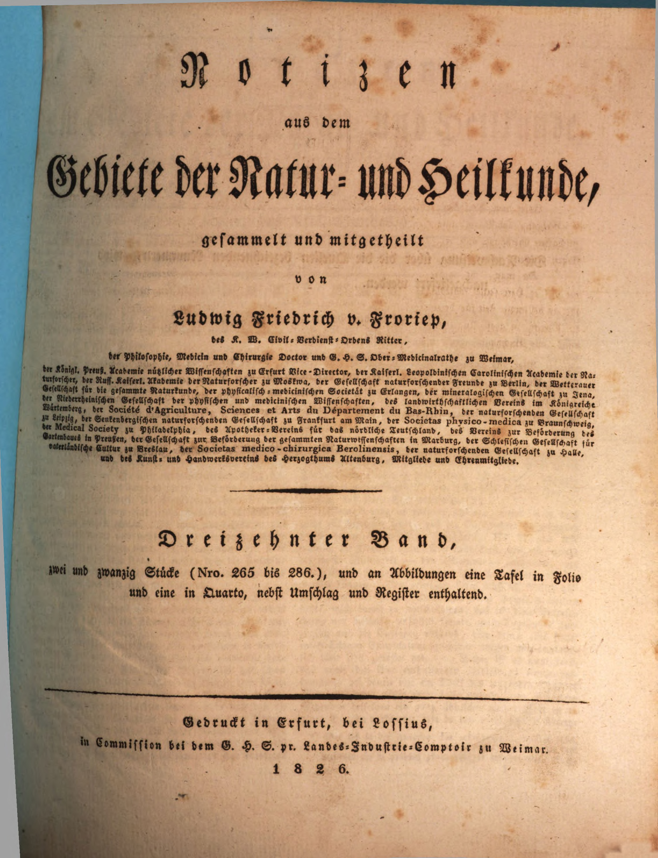 Klein, Dünn Und Lasterhaft Klein, Dünn Und Lasterhaft