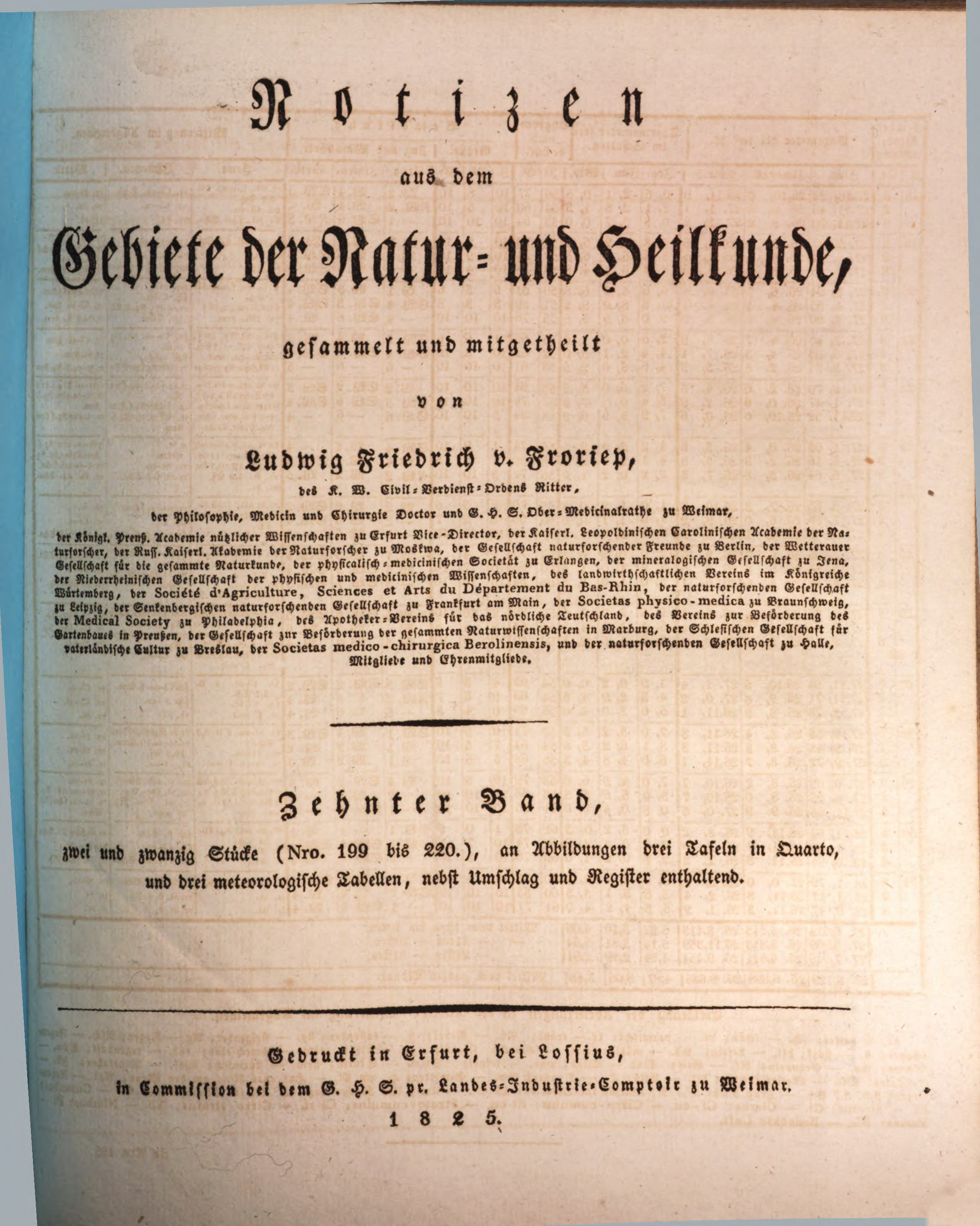 Schöne Brünette Mit Erstaunlich Blauen Augen Nehmen Ein Stück Fleisch Schöne Brünette Mit Erstaunlich Blauen Augen Nehmen Ein Stück Fleisch