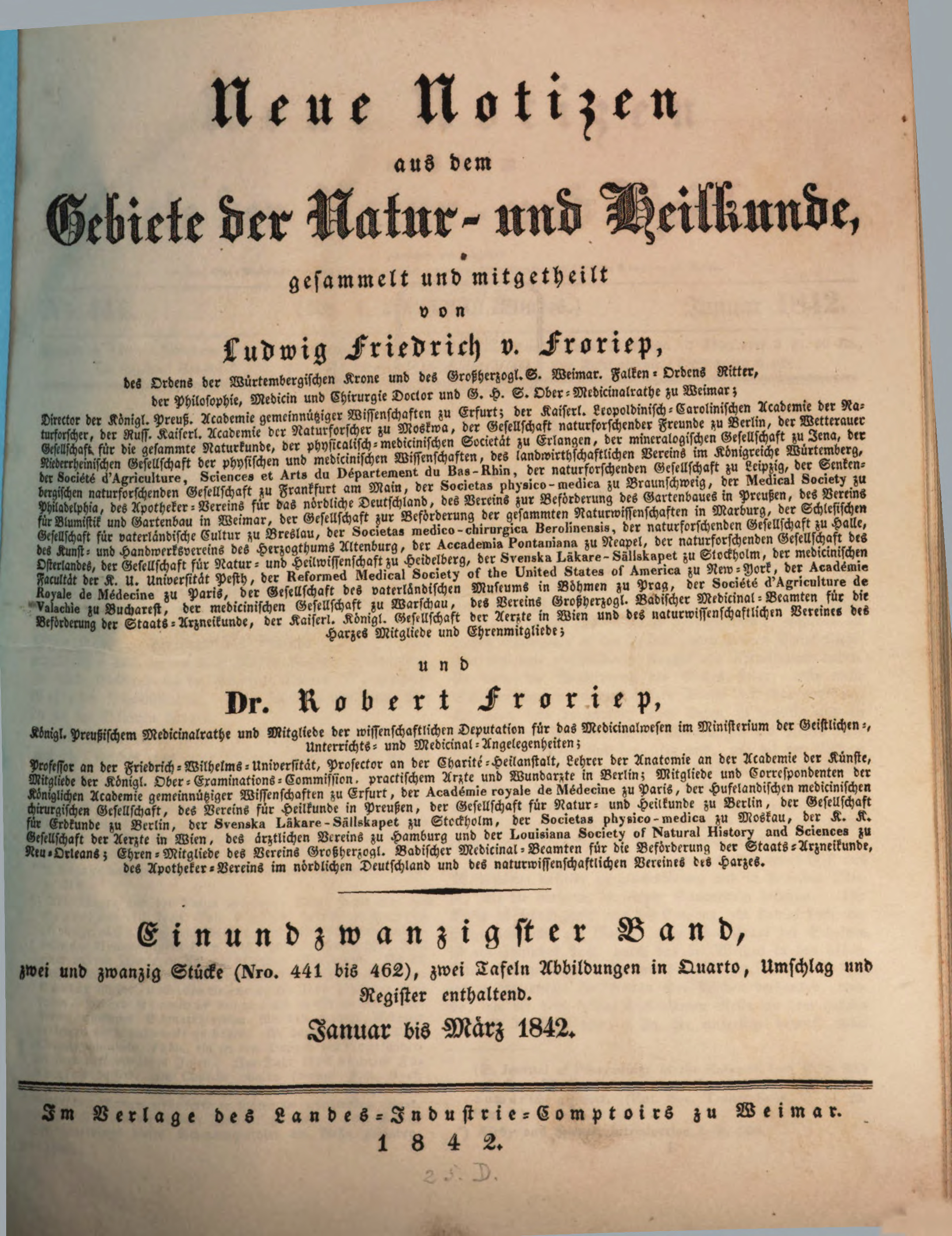 Mit zwei geil gebauten Eheweibern im Bett Mit zwei geil gebauten Eheweibern im Bett