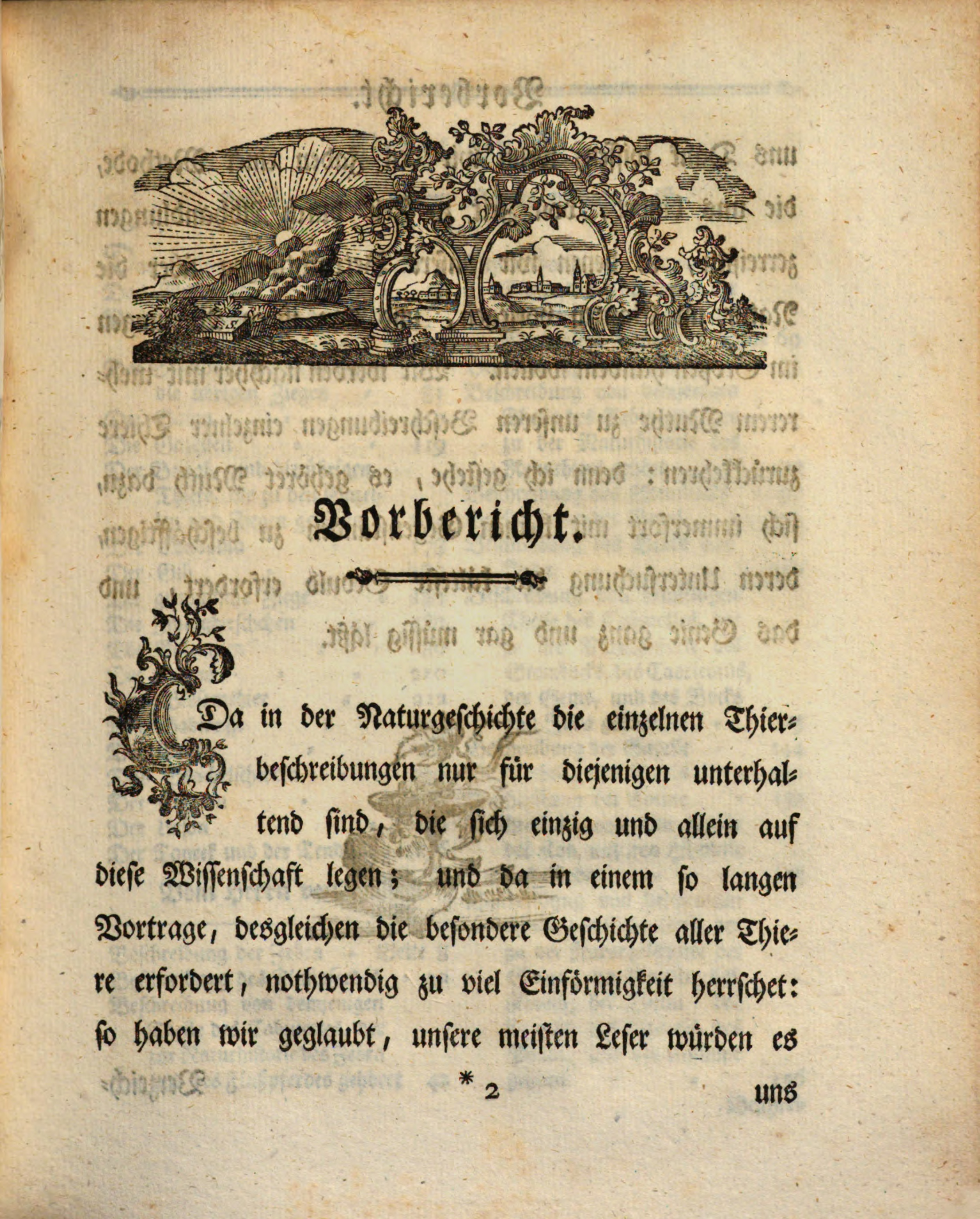 Sieh zu wie ich deinen Schwanz abreite Sieh zu wie ich deinen Schwanz abreite