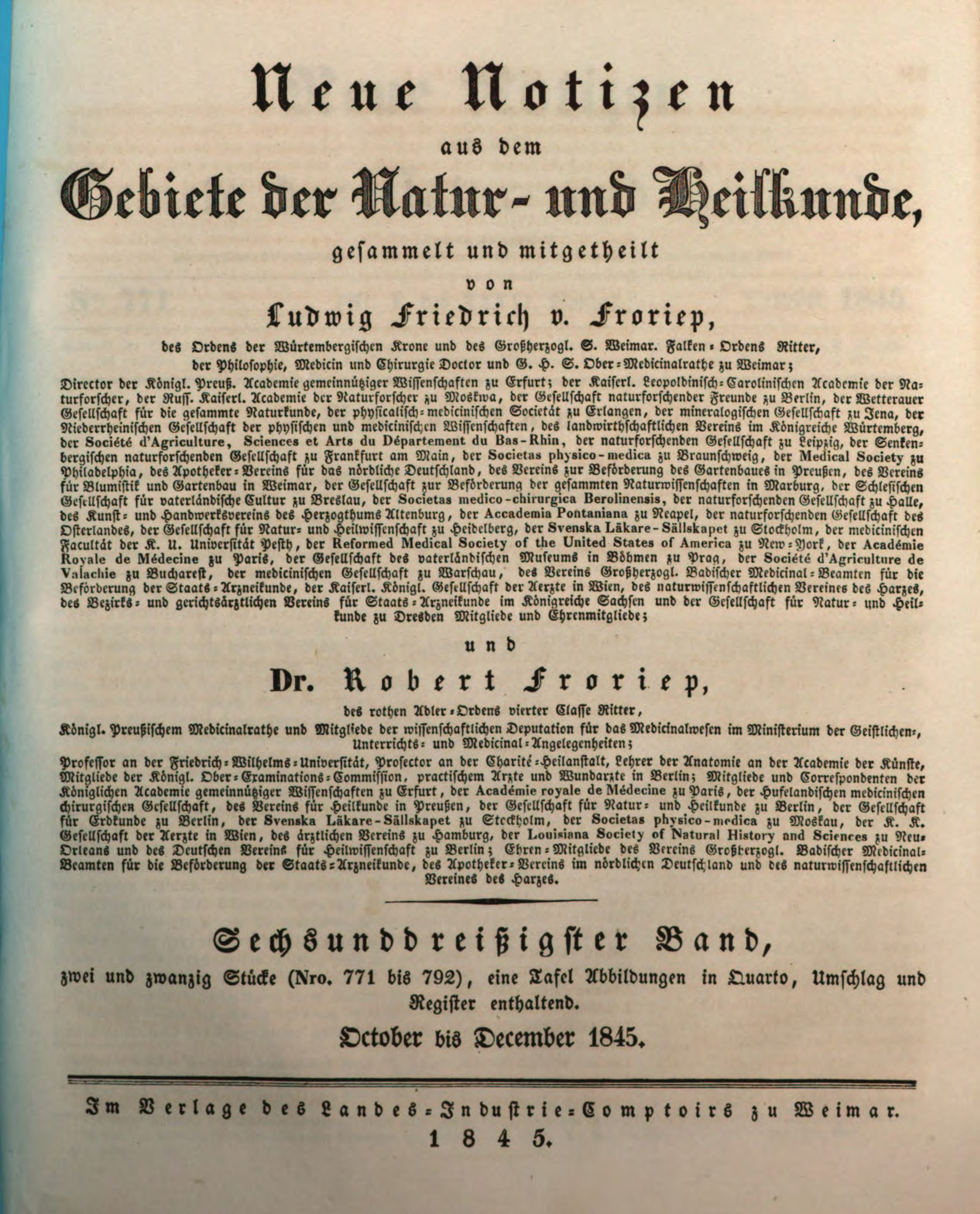 Die Nimmersatte Viktoria Saugt Mehrere Knüppel Gleichzeitig Die Nimmersatte Viktoria Saugt Mehrere Knüppel Gleichzeitig