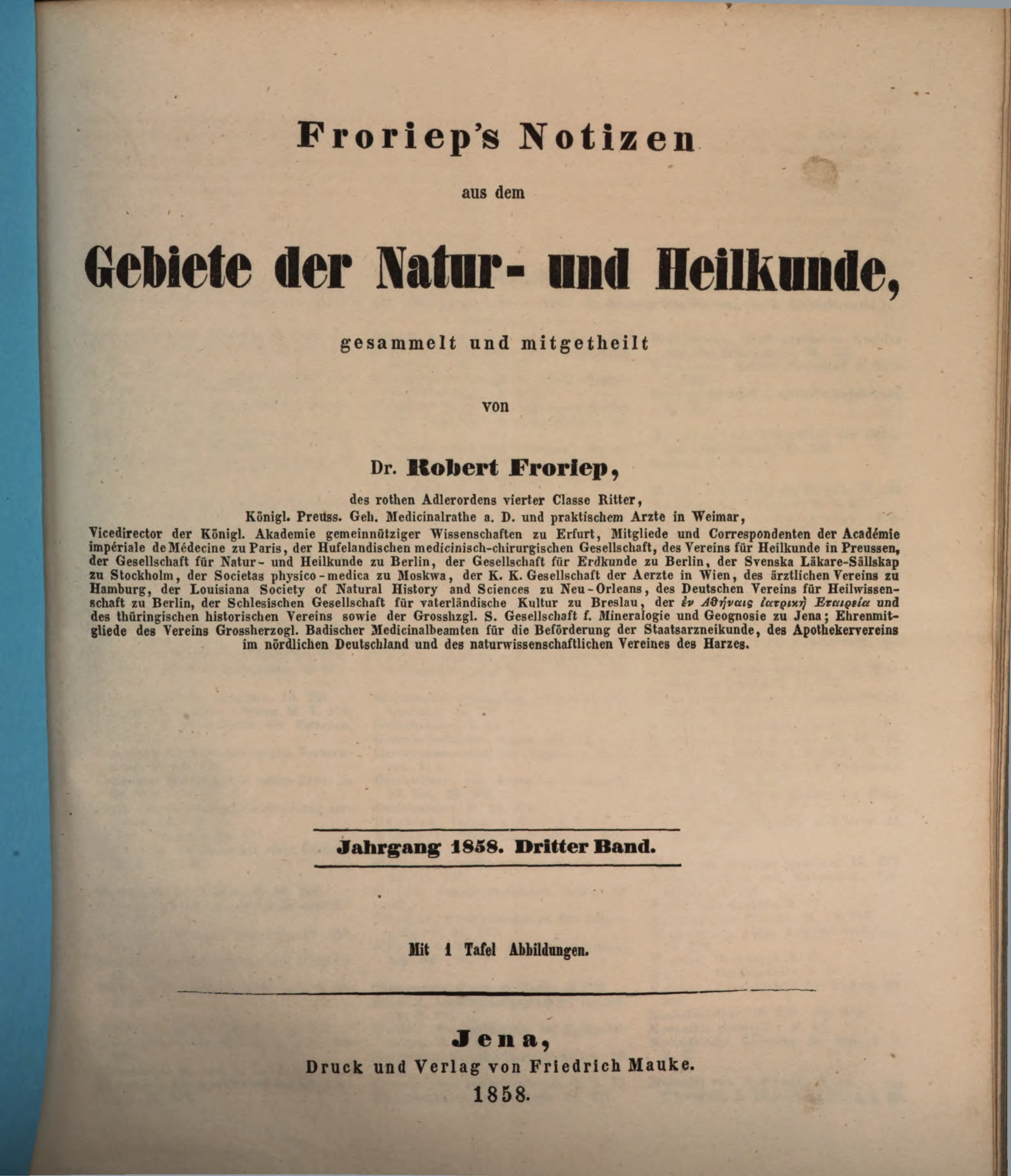 Fällige Frau, Die Ganz Gut Für Große Saugen Hahn Ihres Mannes Fällige Frau, Die Ganz Gut Für Große Saugen Hahn Ihres Mannes